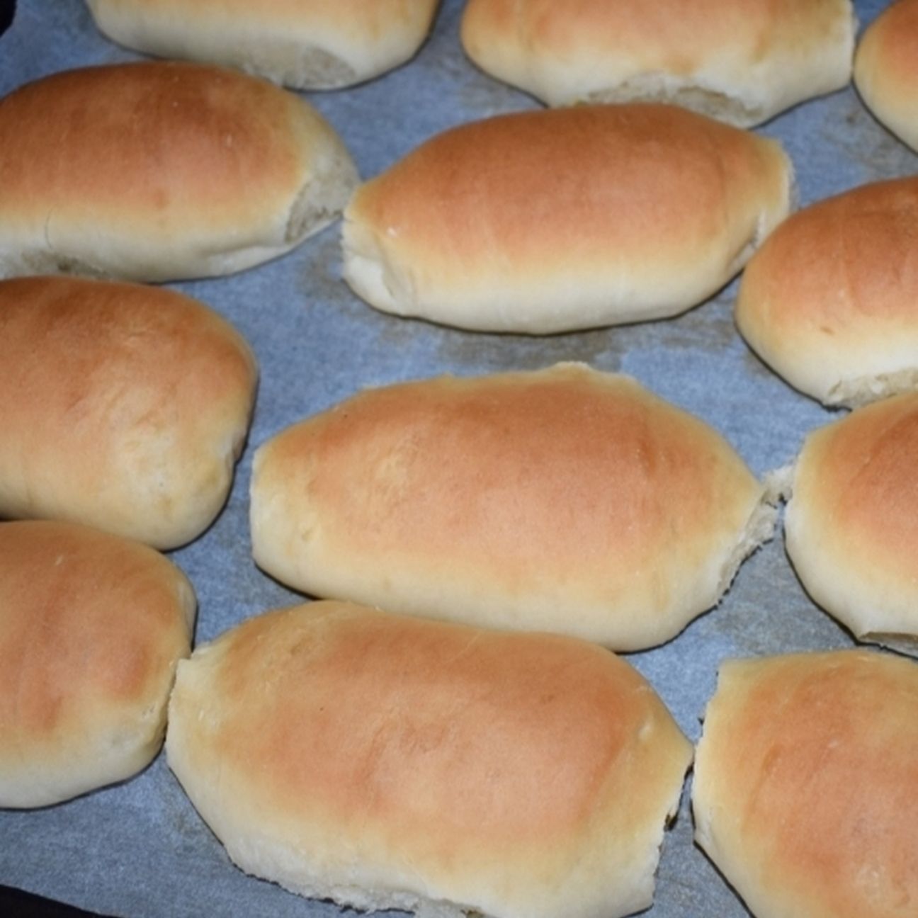 Panini all'olio morbidi