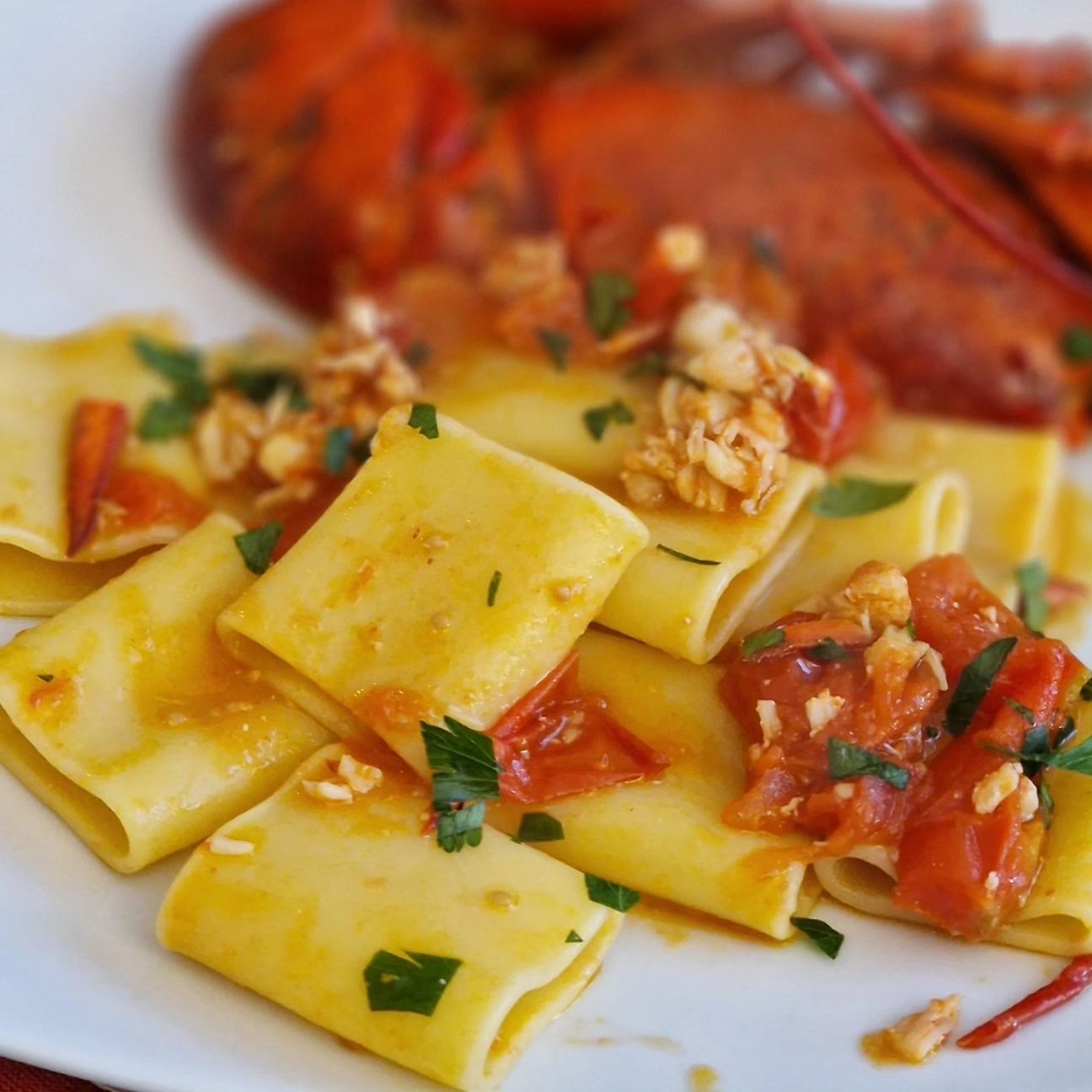 Paccheri all'astice.
