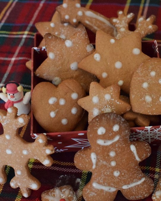 Biscotti di panpepato #NataleAltaCucina