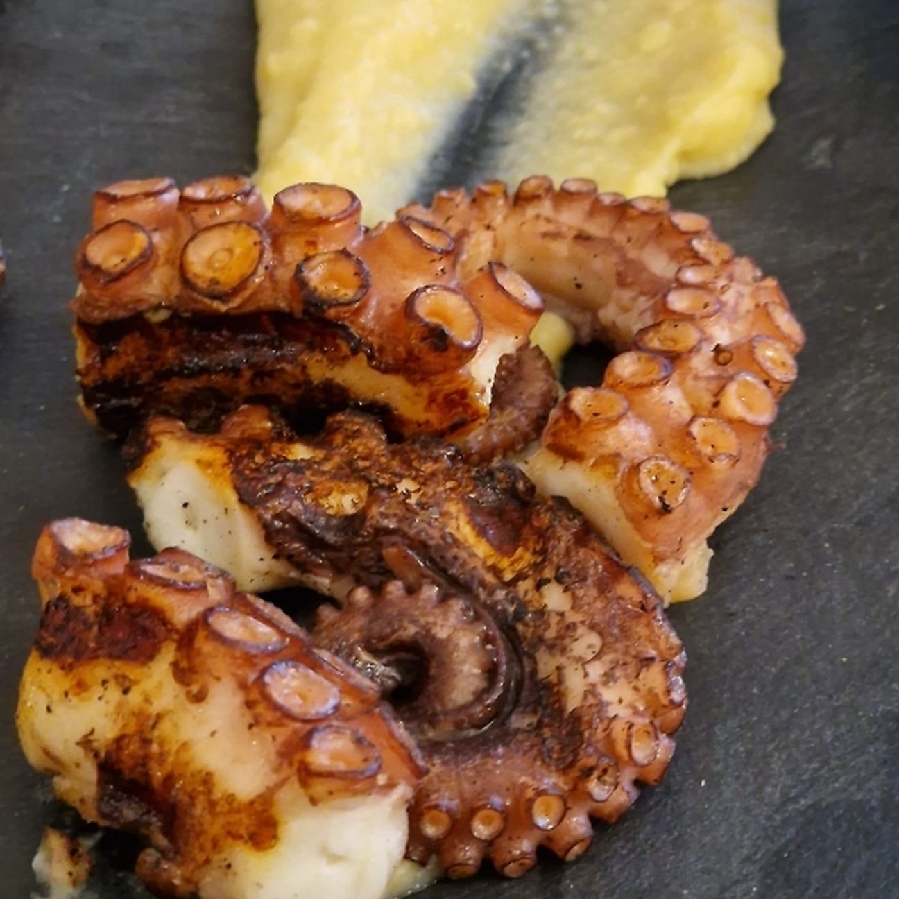 Polpo arrosto su crema di fave