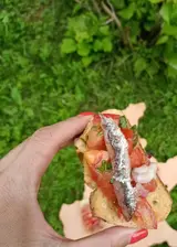 Ricetta Bruschetta con acciughe