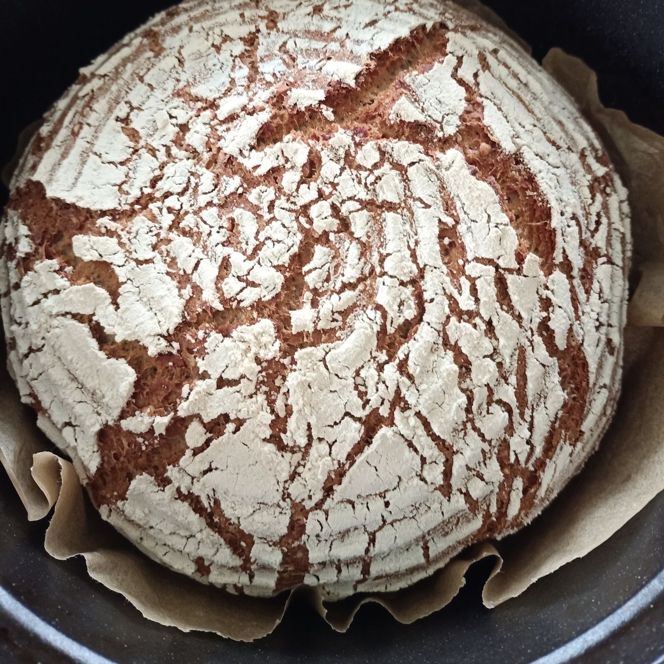 Pane al farro con grano saraceno