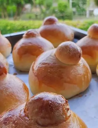 Ricetta brioches catanesi di giovanna.1981