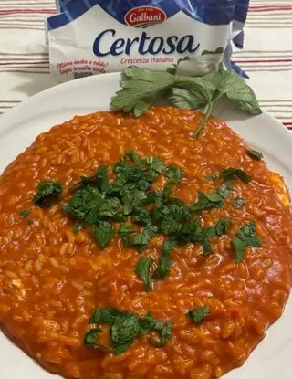 Ricetta Risotto pomodoro e certosino di destefanispina