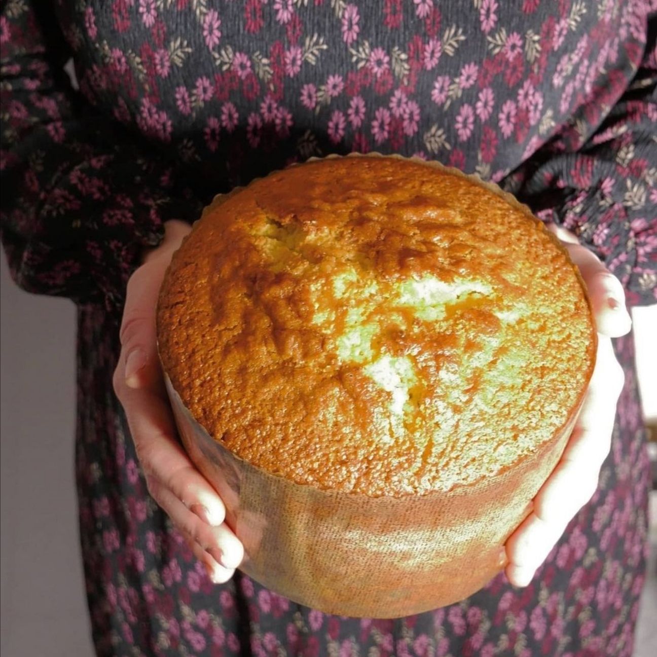 Panettone Lupacchioli