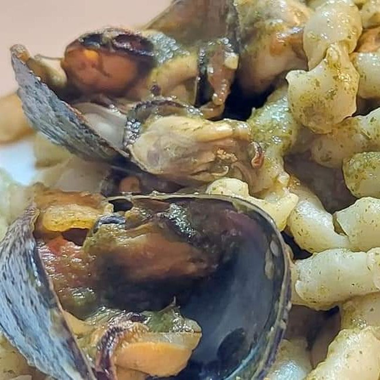 Profumo di mare e terra