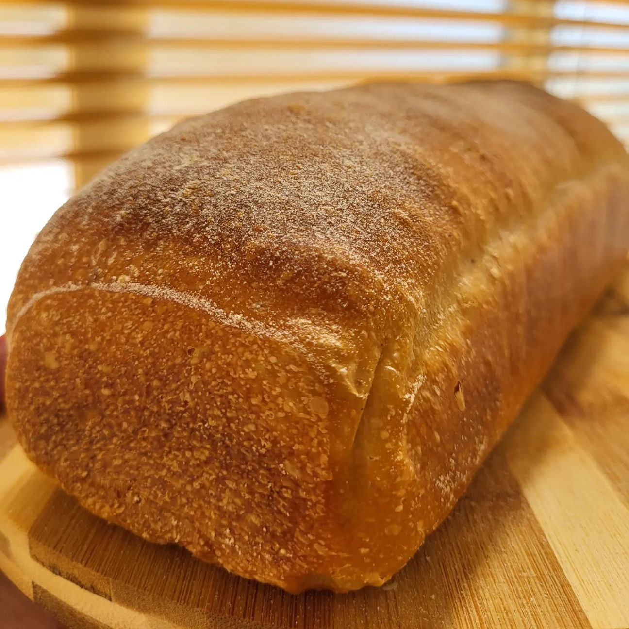 Panbauletto