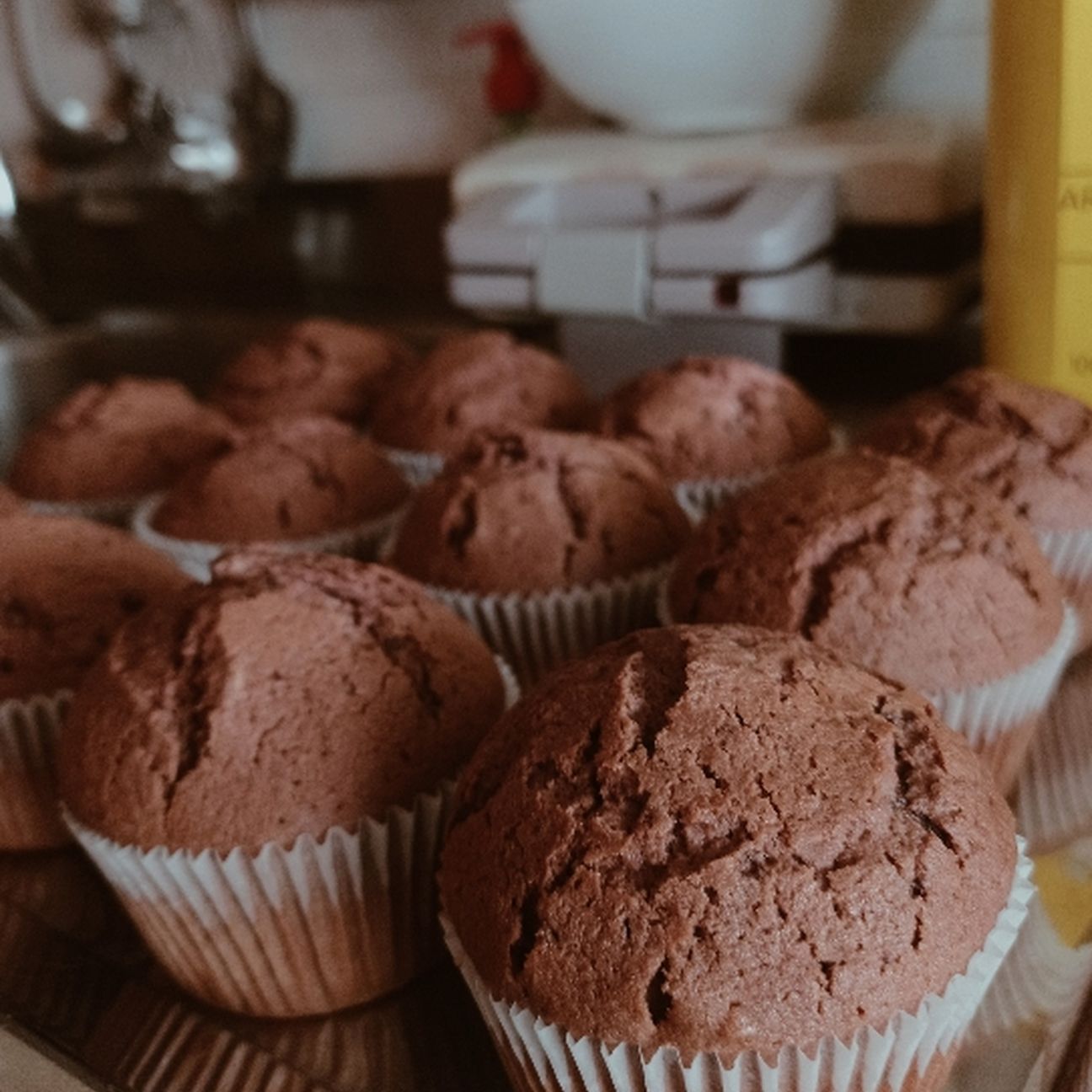 muffin al cacao con cioccolato 🍫🍪
