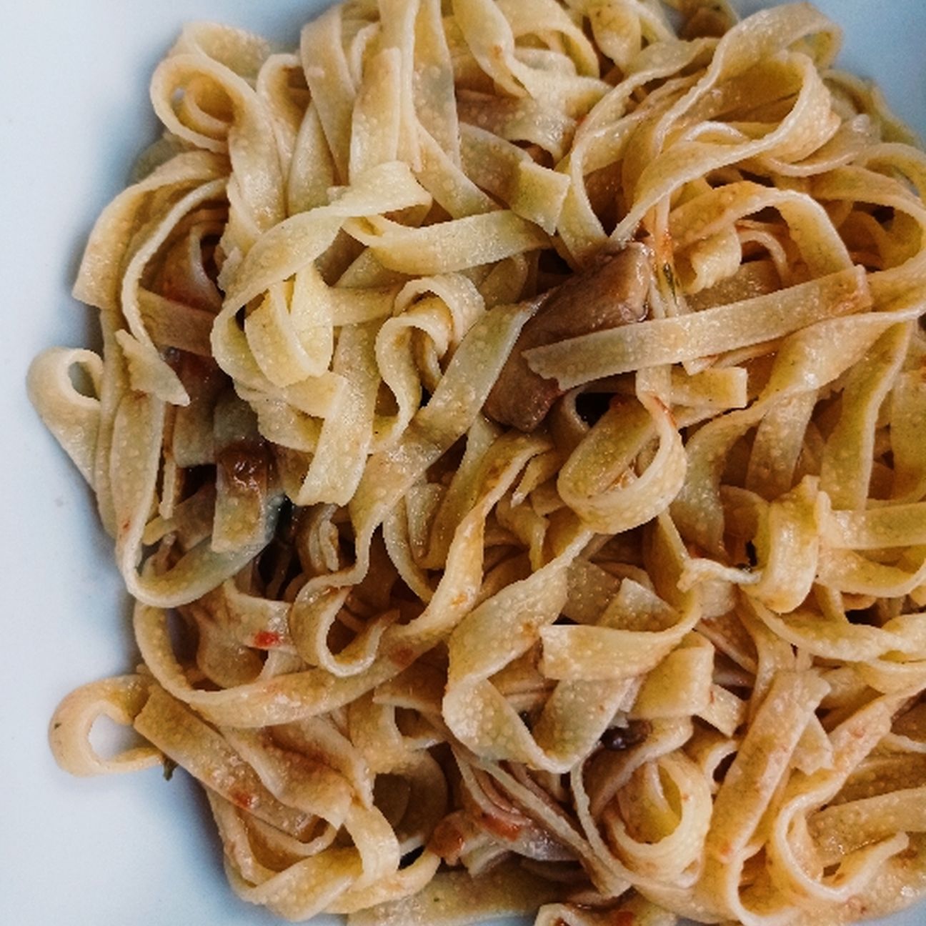 tagliatelle all'uovo con funghi porcini🍄