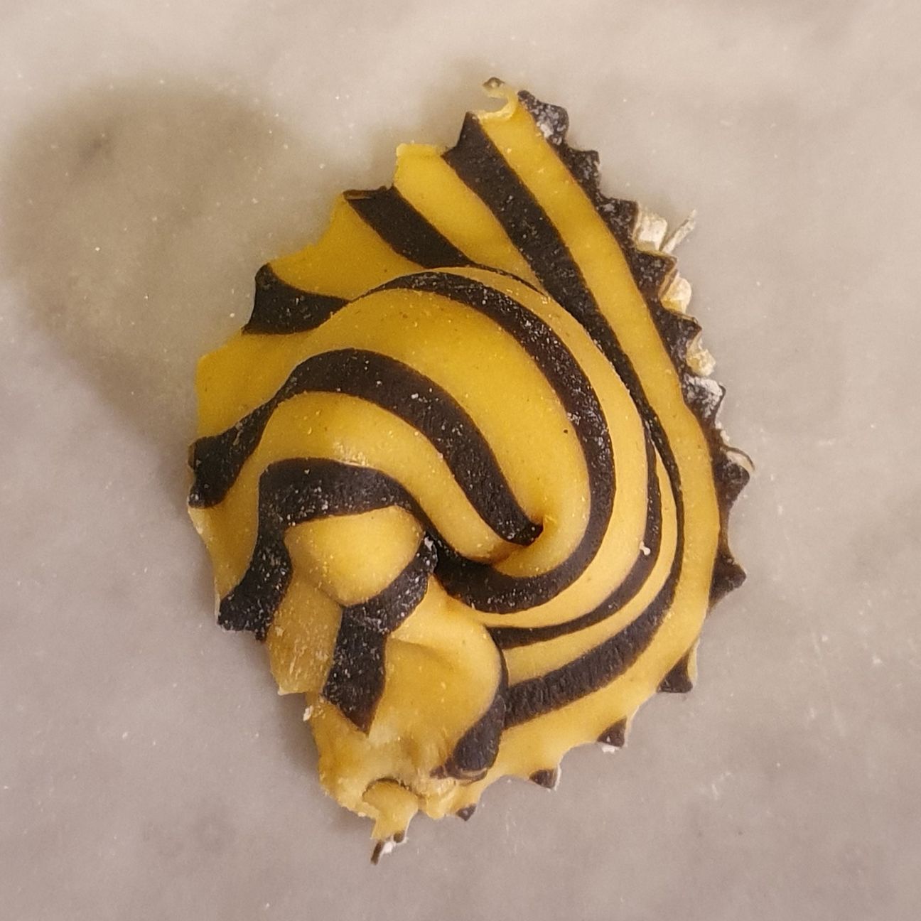 Cappellacci di pasta all'uovo bicolore