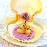 Ricetta Noci di capesante in salsa di cavolo viola