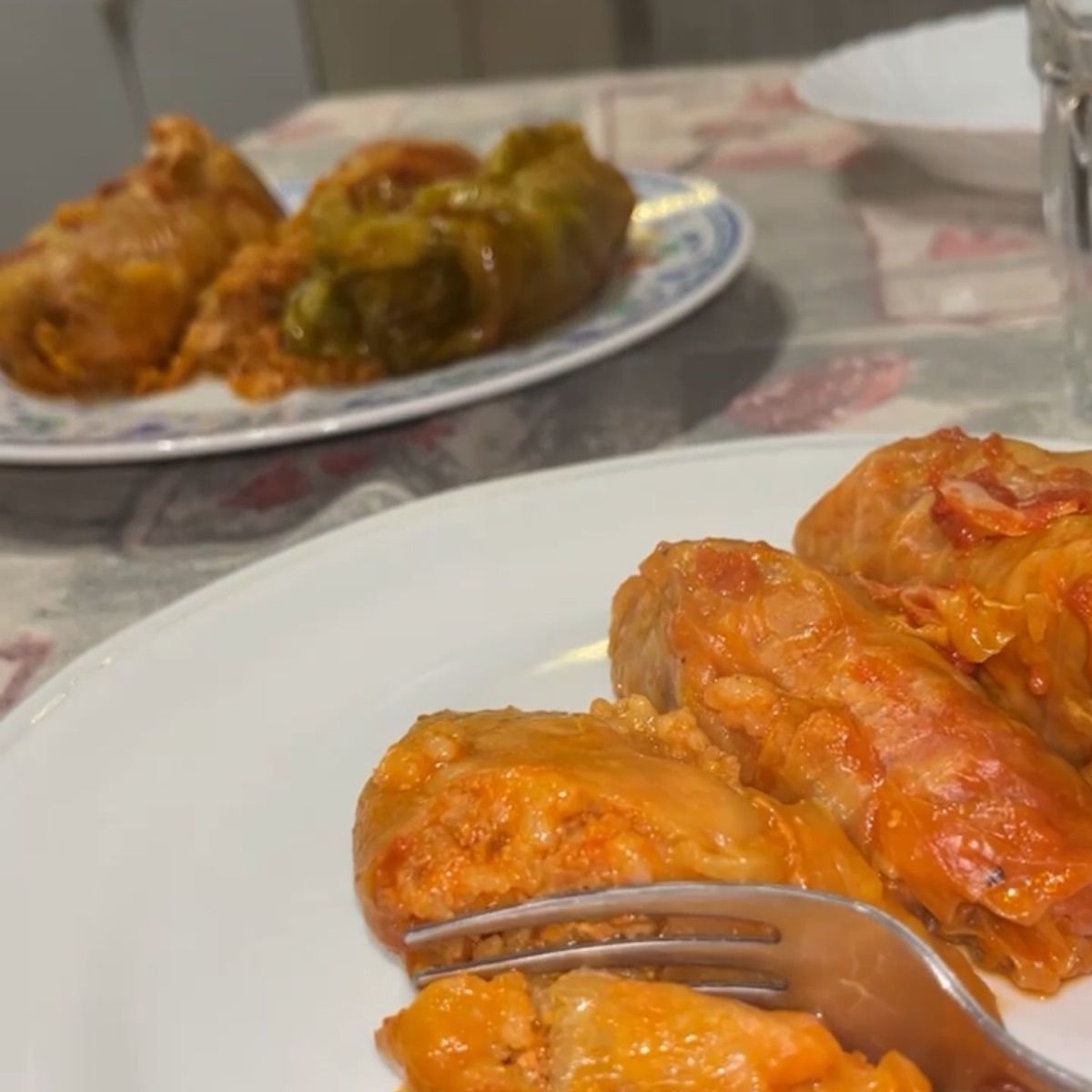 Involtini dell’est