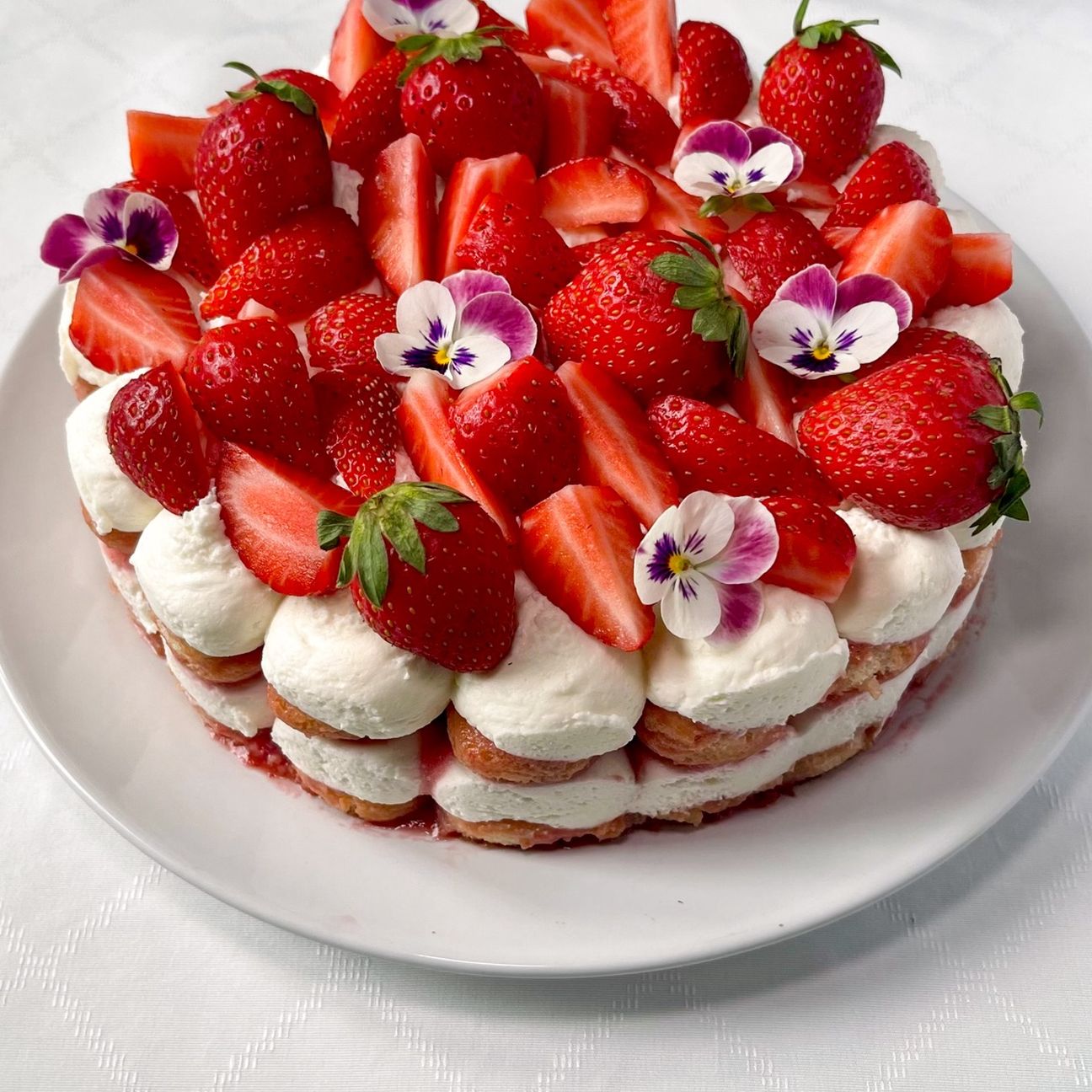 Red Velvet estiva