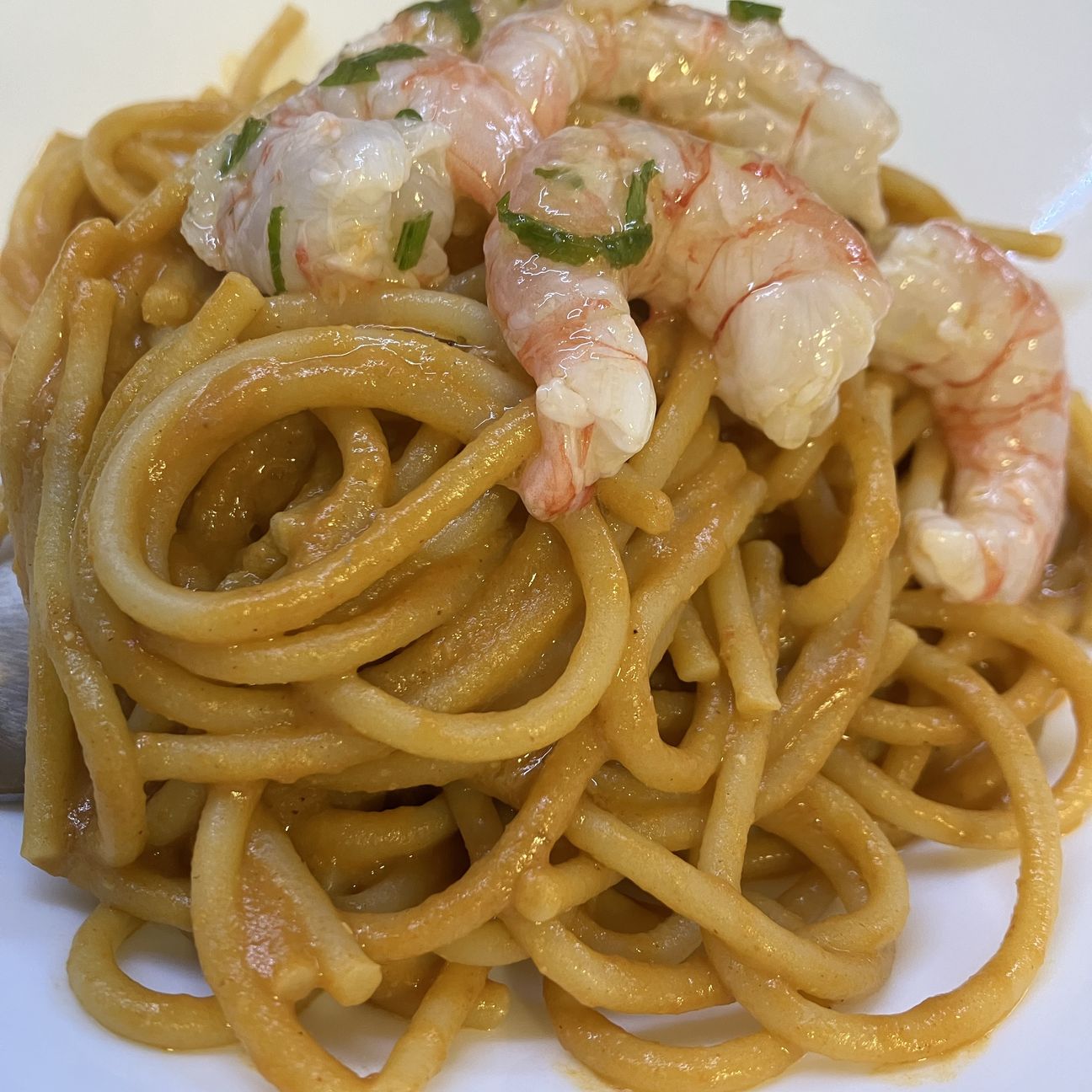 Spaghetti cremosi al gambero rosso 🦐