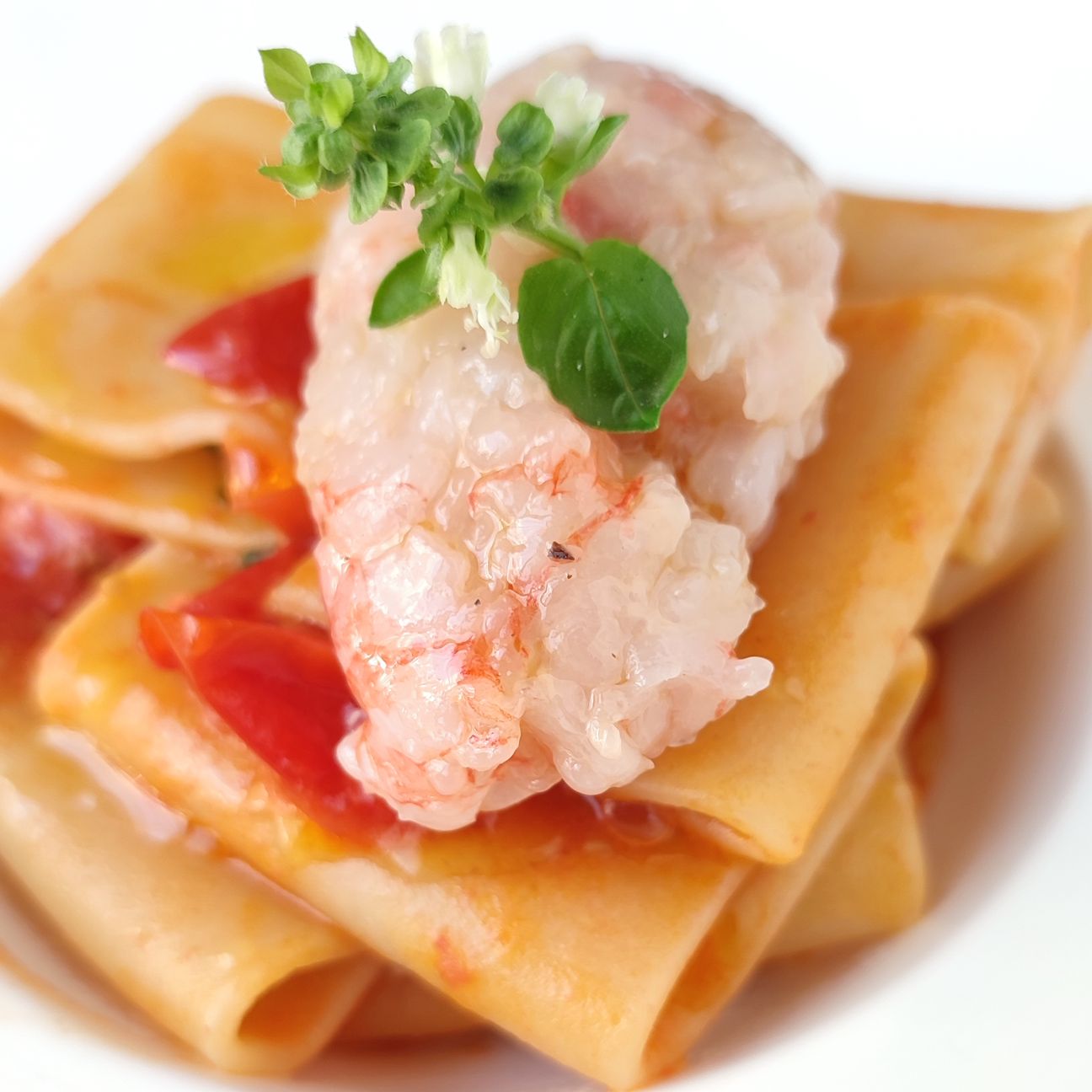 PACCHERI CON TARTARE DI GAMBERO VIOLA