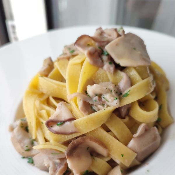 Fettuccine ai Porcini Al.Ta Cucina FraiFornelli