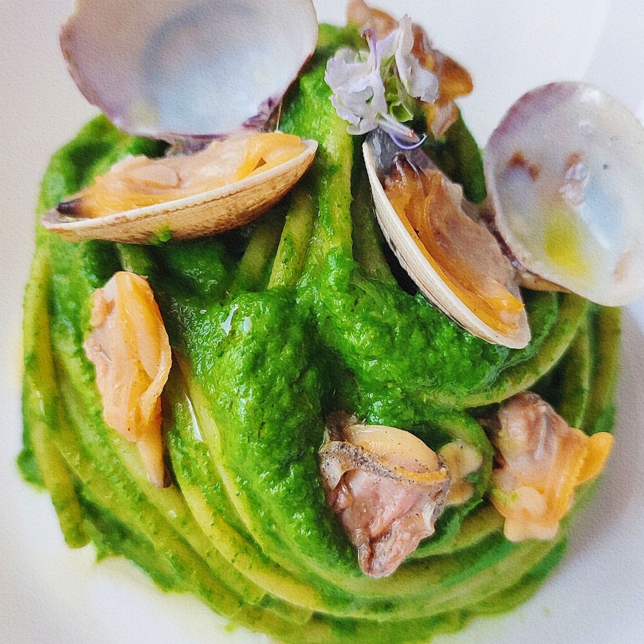 Spaghettoni crema di Rape e Vongole #NataleAltaCucina