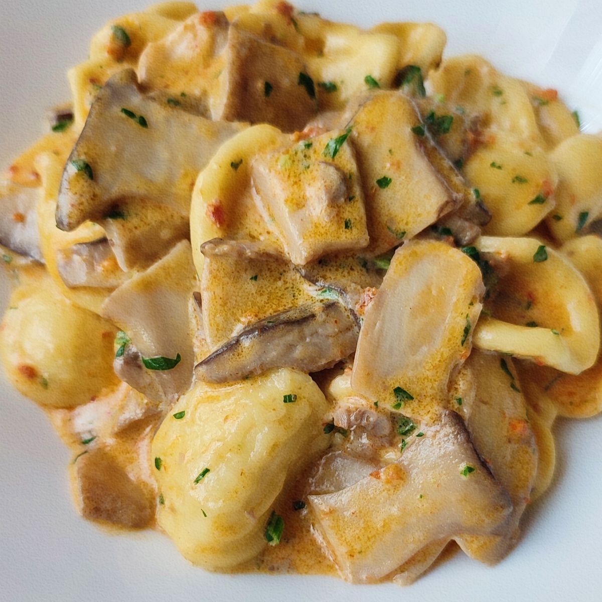 ORECCHIETTE NEL BOSCO
