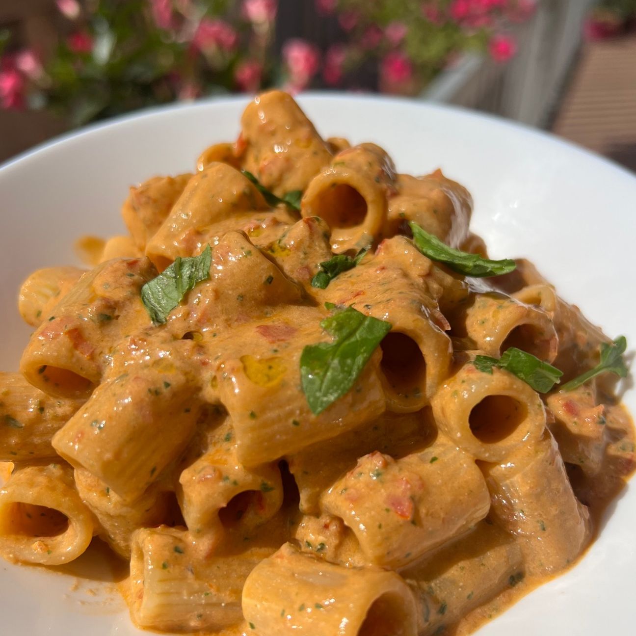 PASTA ESTIVA