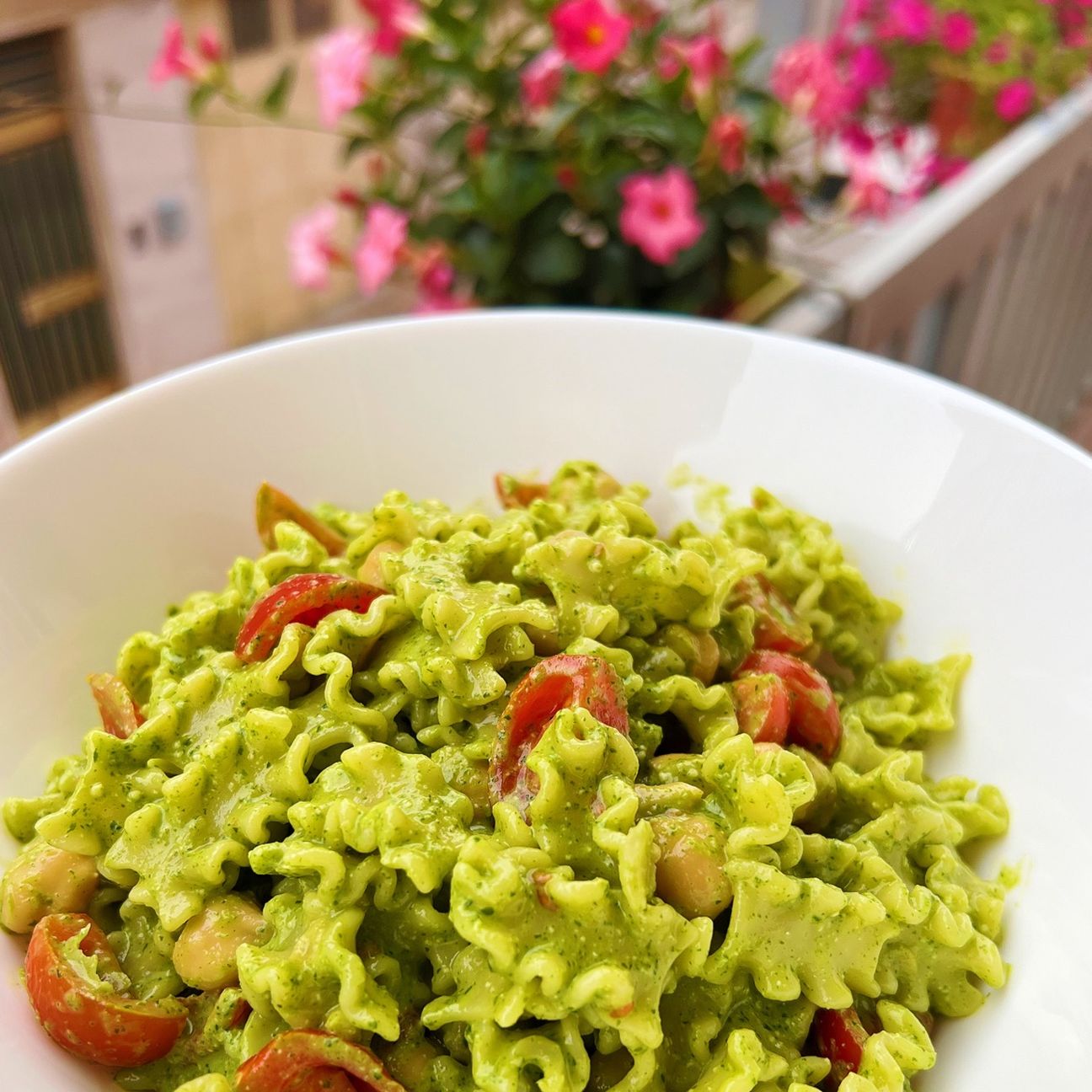 PASTA ESTIVA N.8