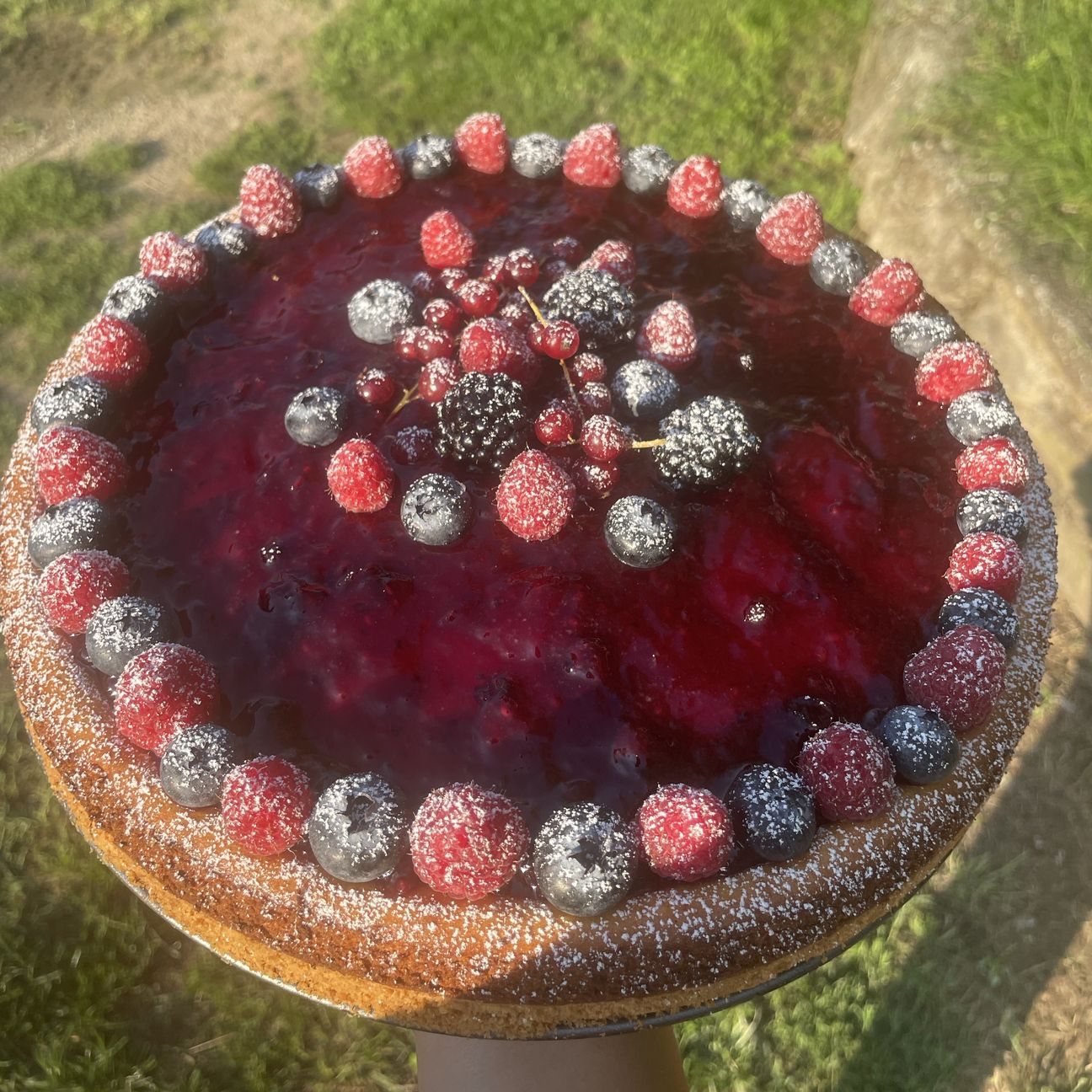 Cheesecake frutti di bosco 🍓🫐