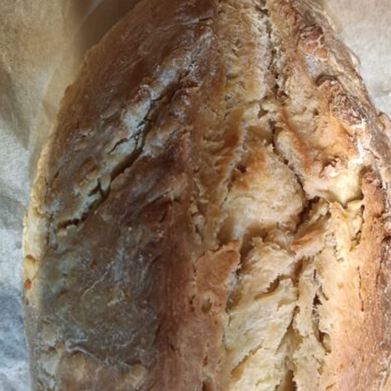 Pane