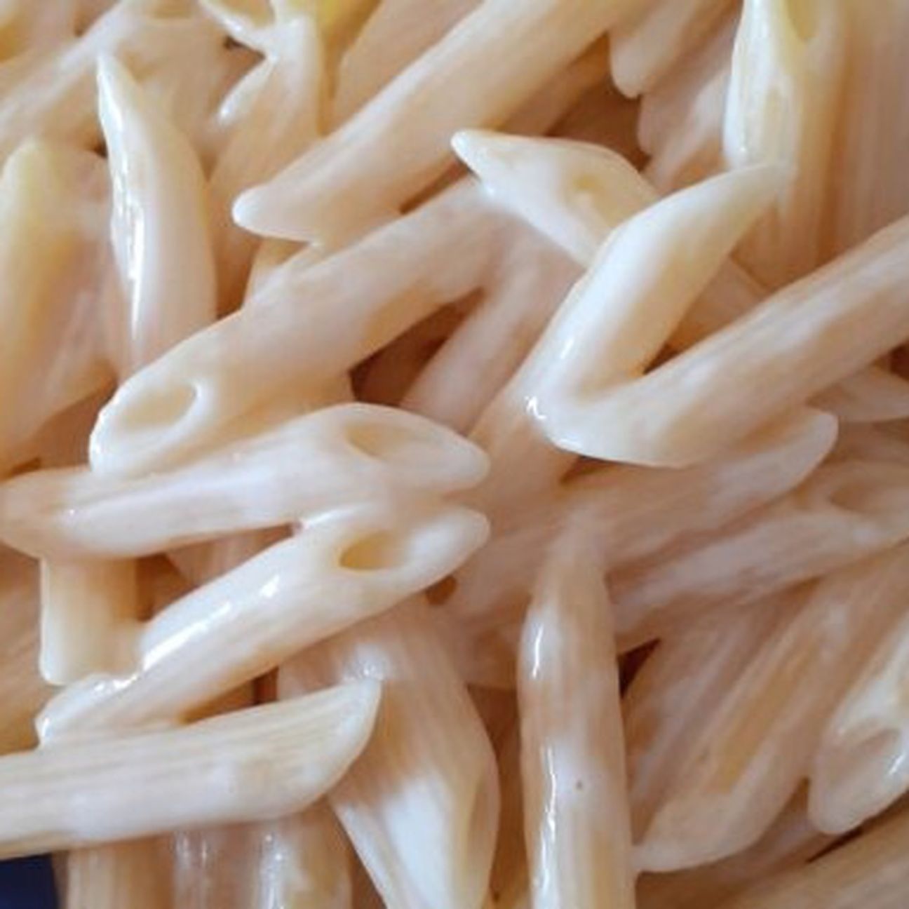 PENNE CREMOSE