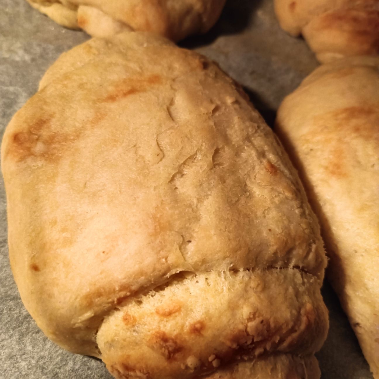 Panini all' olio