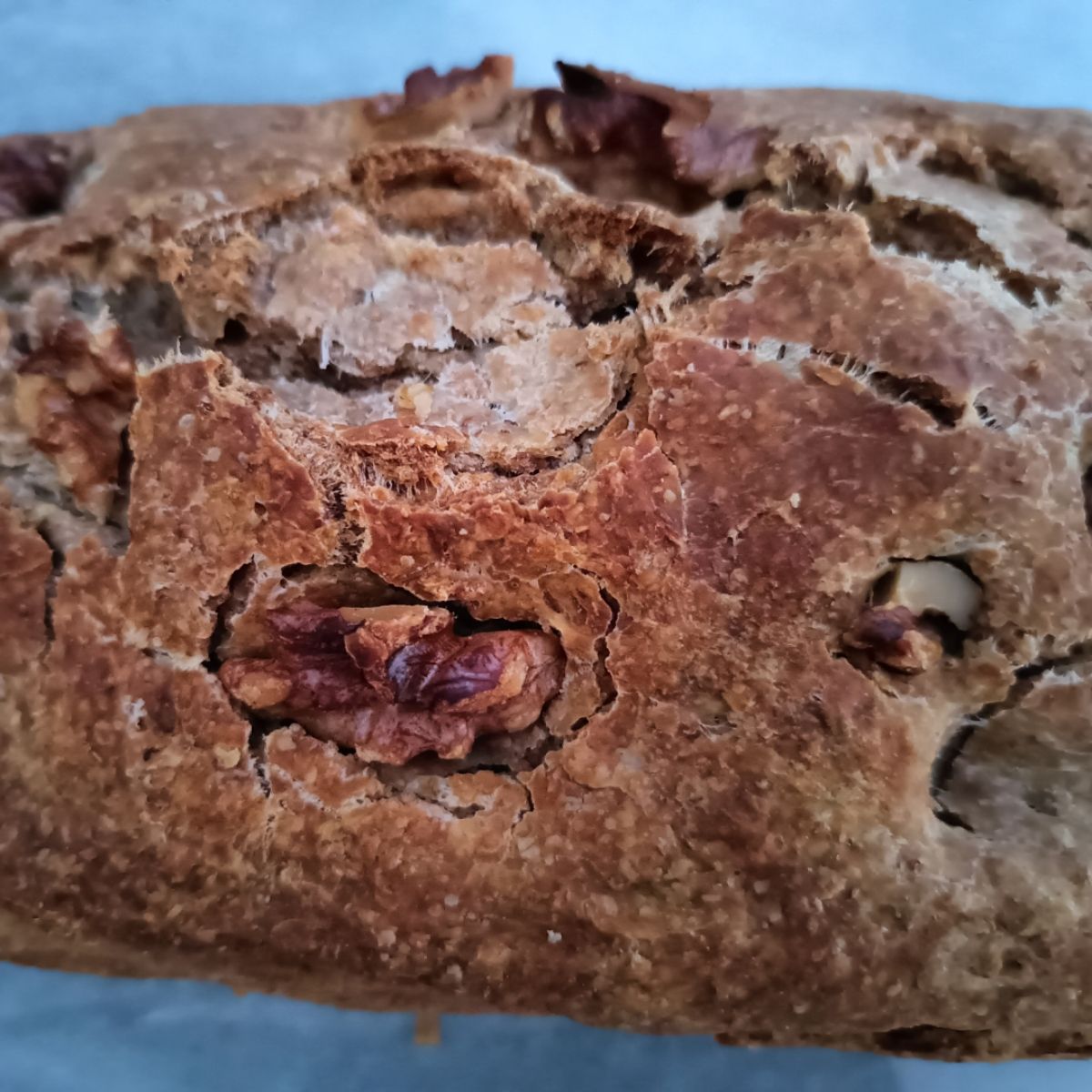 Pane in cassetta