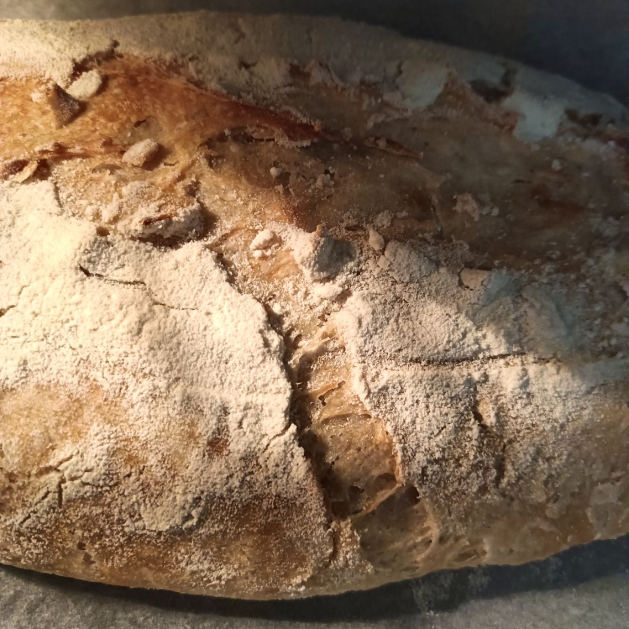 Pane integrale