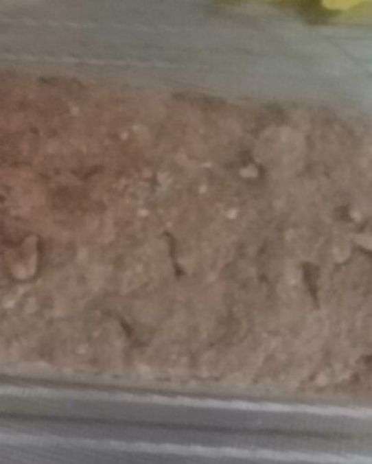 Pane Integrale alle noci