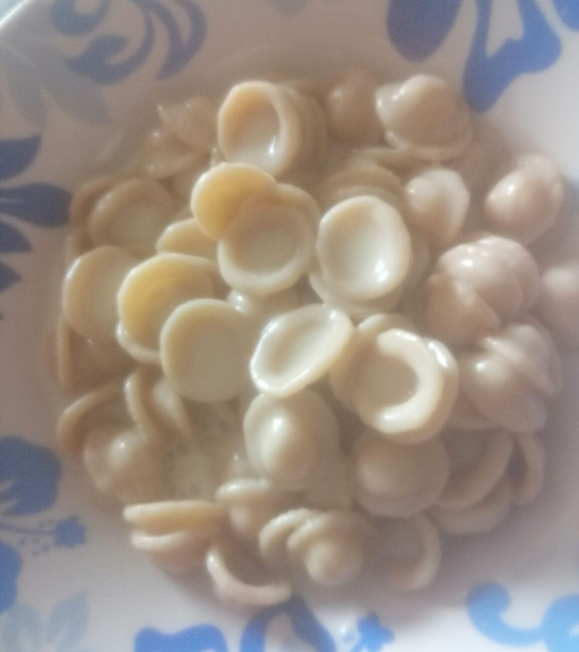Orecchiette Integrali ai quattro formaggi