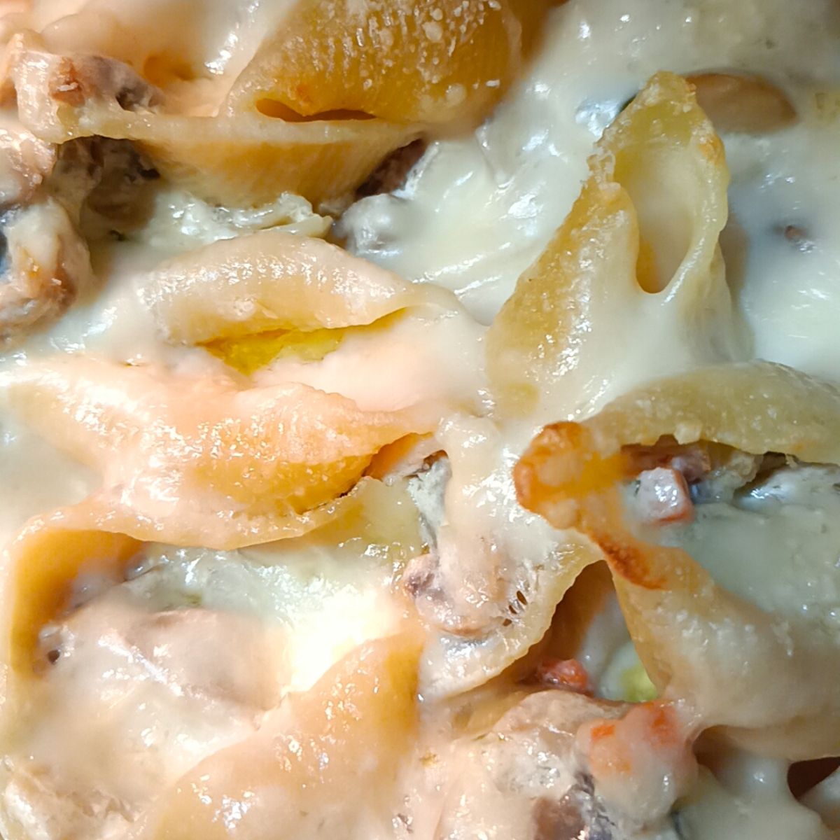 Conchiglioni ripieni ai funghi