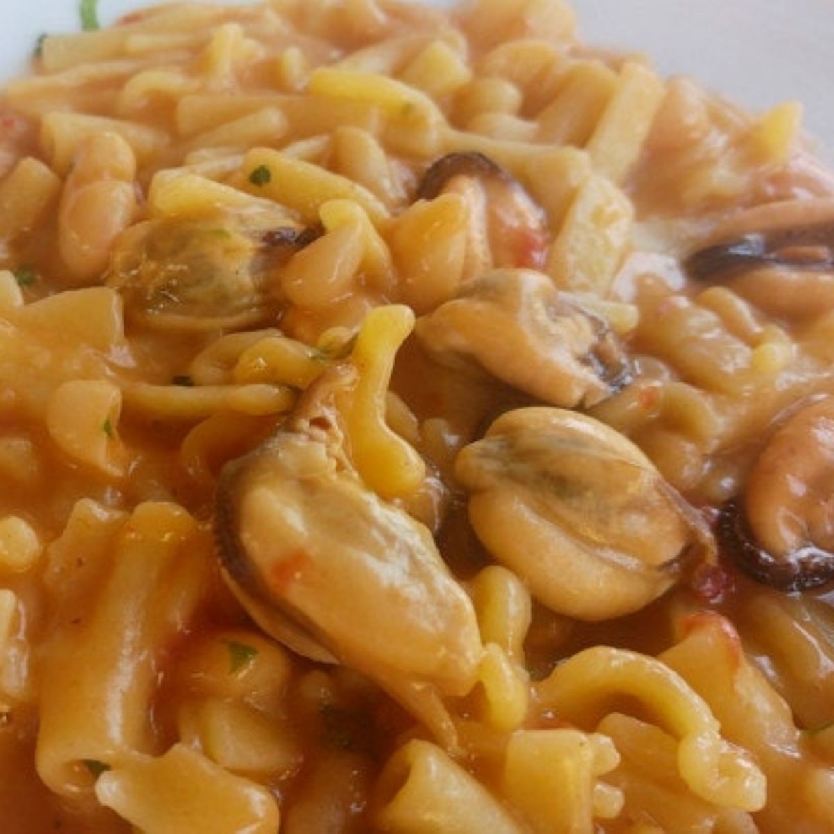 Pasta e fagioli con cozze