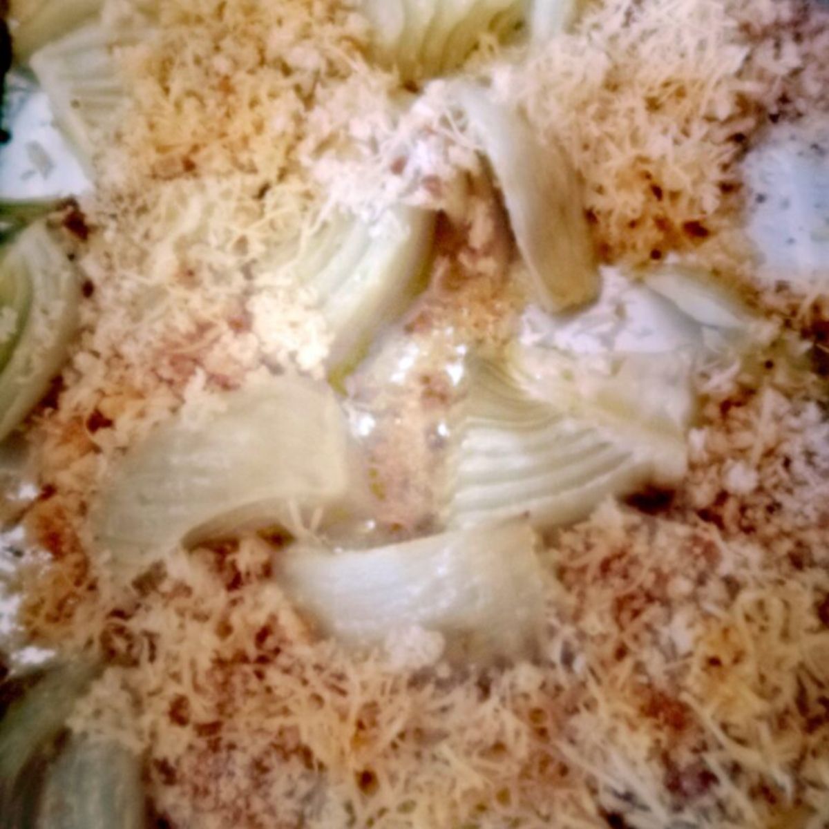 Finocchi