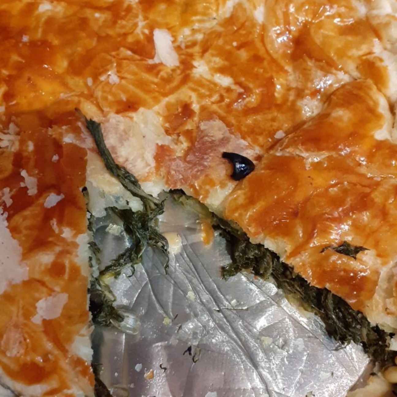 Pizza con erba