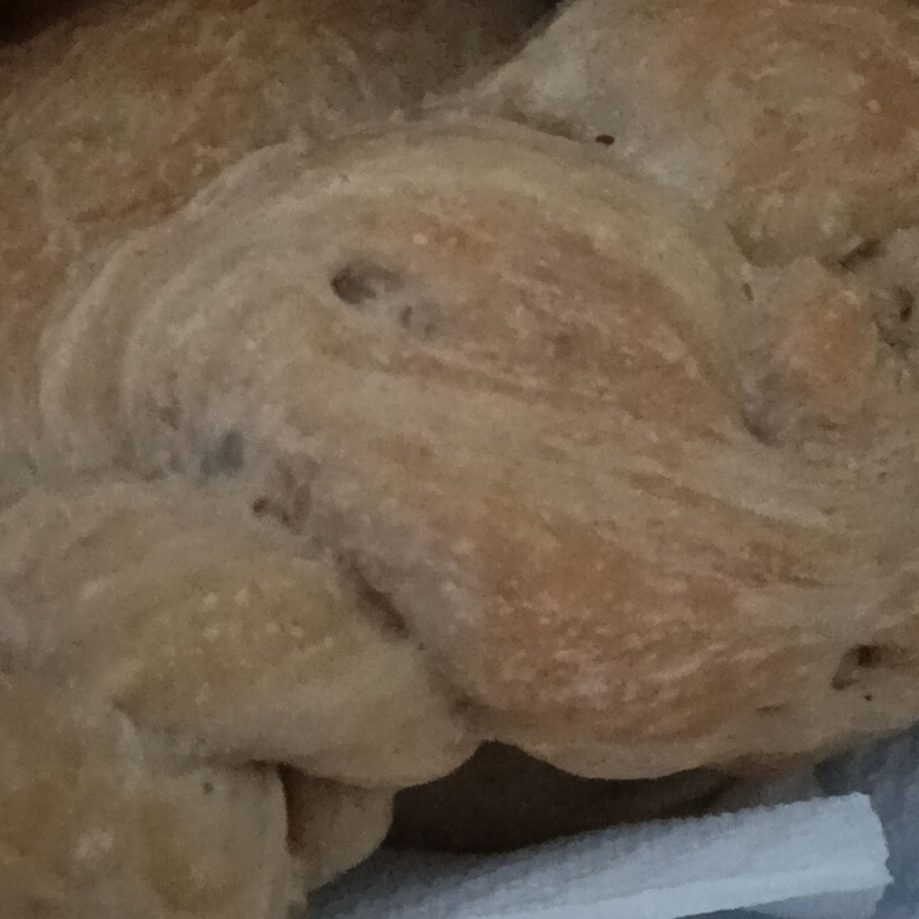 Pane alle noci