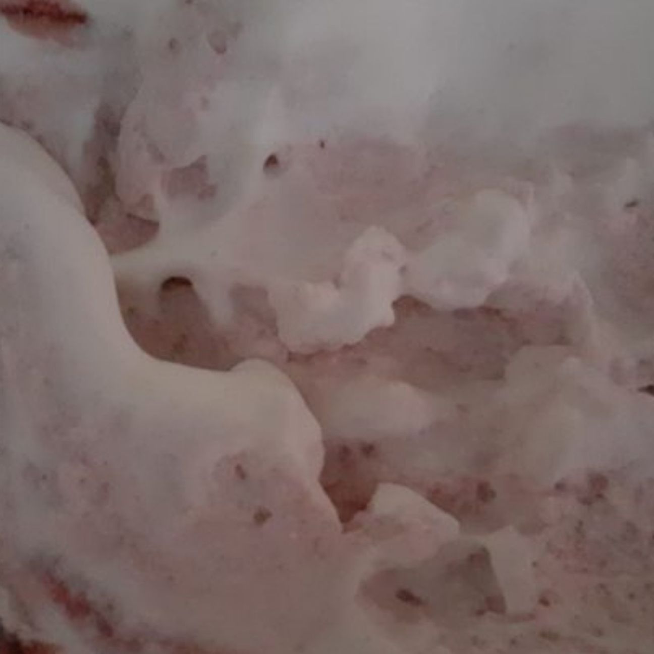 Gelato all'amarena