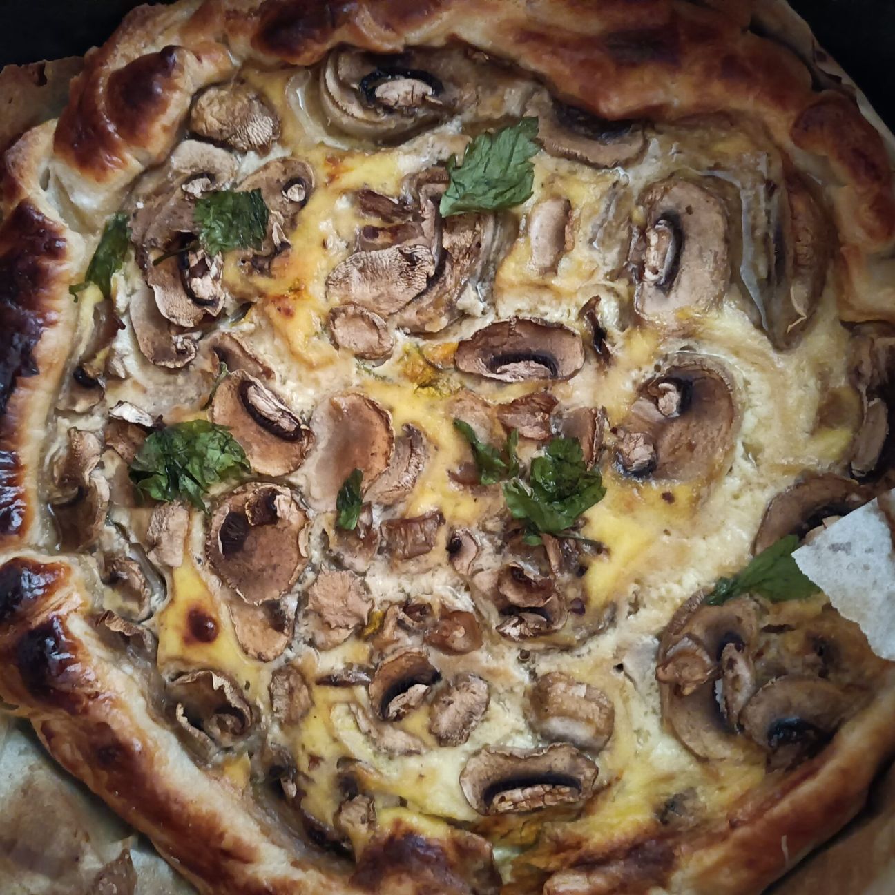 Torta salata