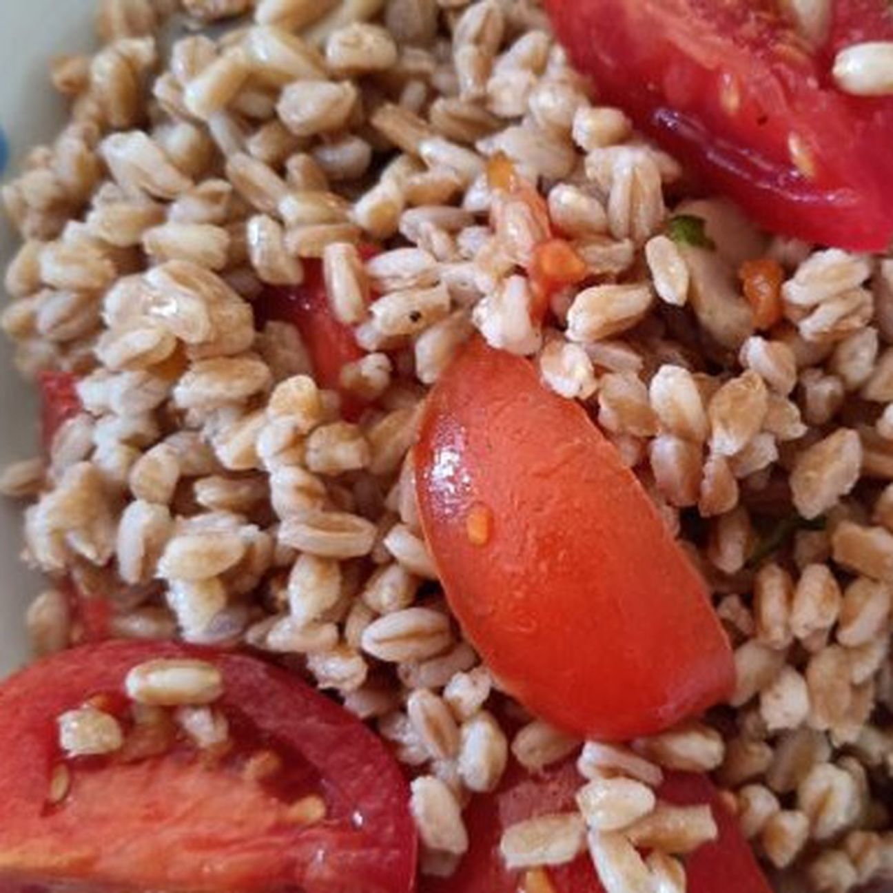 Farro Pomodorini e Funghi