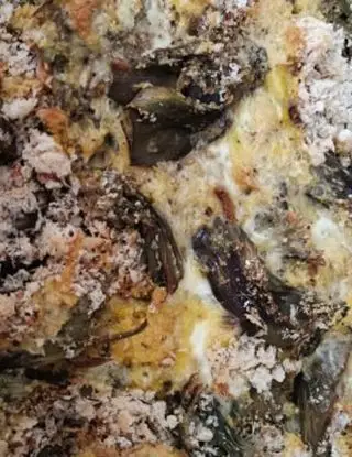 Ricetta Frittata di carciofi di elvira.gengaro