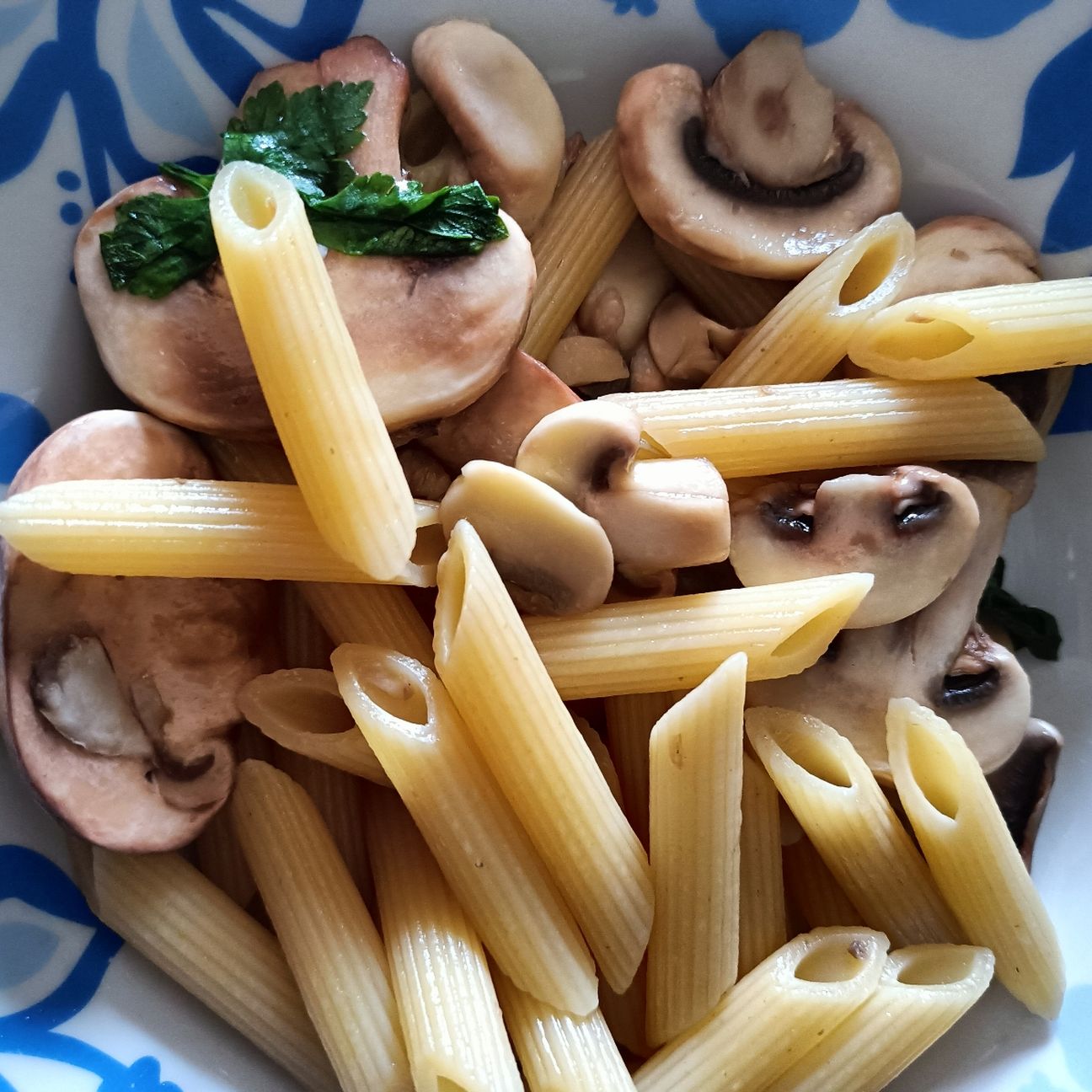 Penne ai Funghi