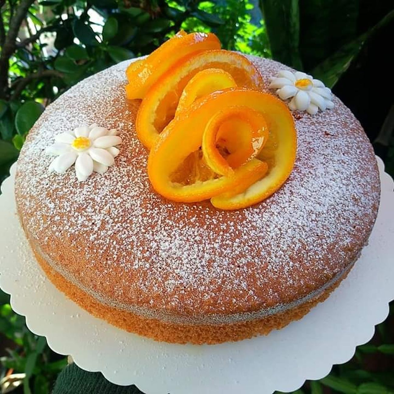 Torta all'arancia
