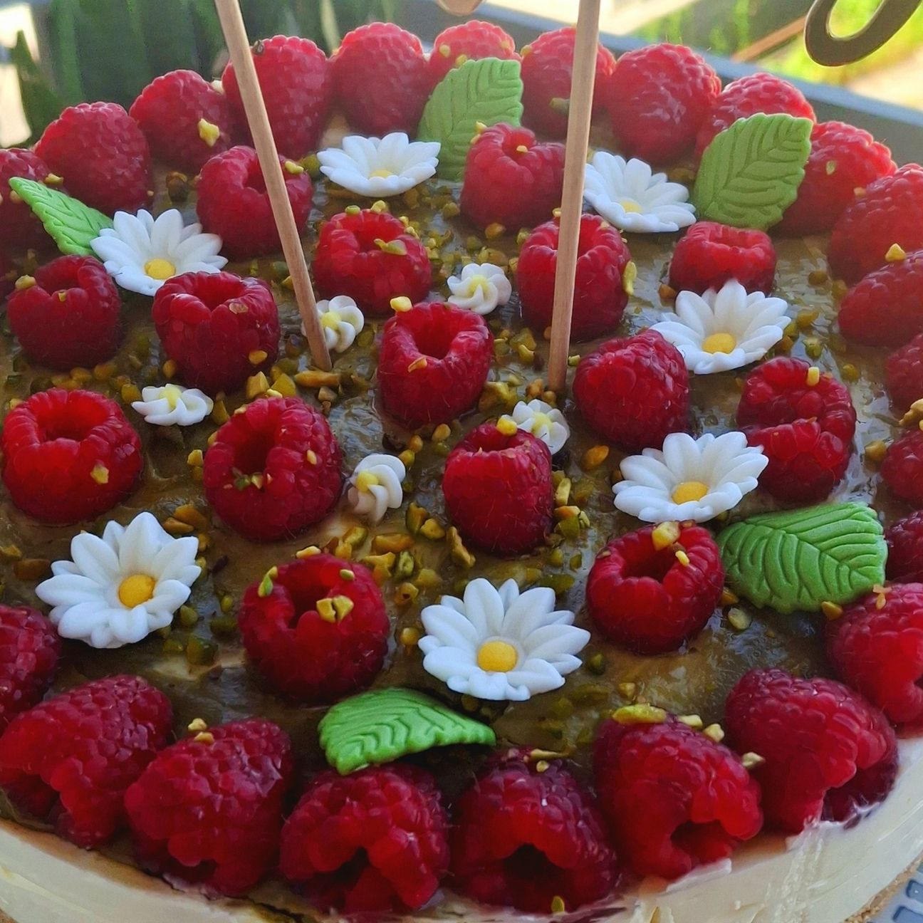 Cheescake lamponi e pistacchio