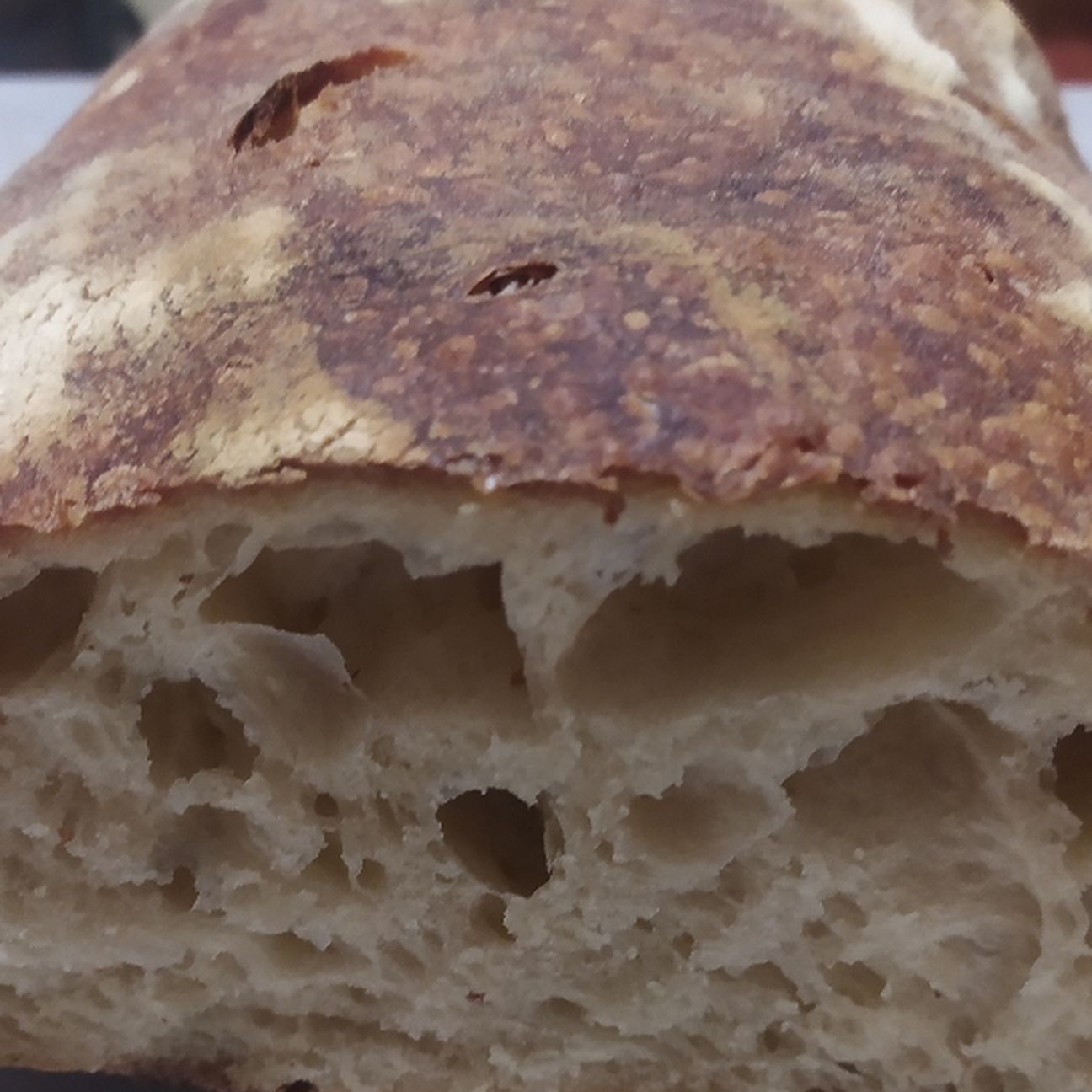 Pane in pentola con lievito madre