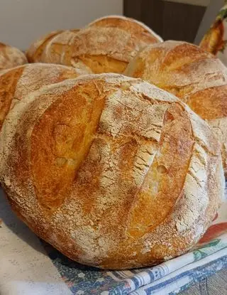 Ricetta Pane casereccio fatto in casa di anna.mazzola1969