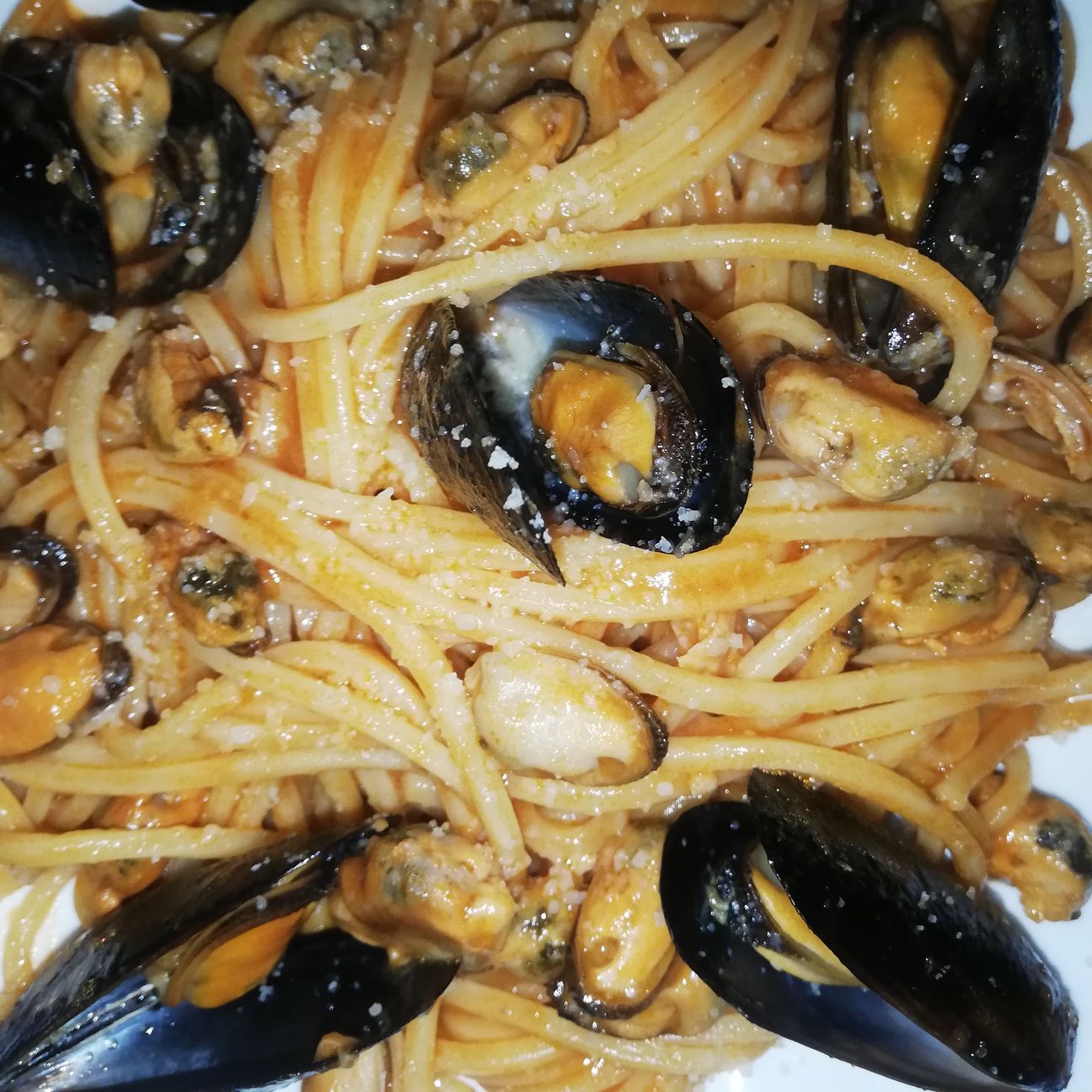 Tonnarelli cozze e pecorino