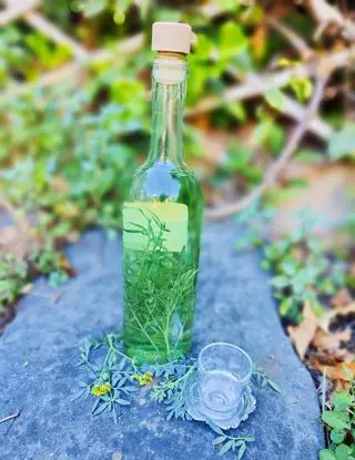 Ricetta Grappa aromatizzata alla ruta di _paola_catalano