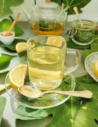 Tisana Alle Foglie Di Fico Essiccate Al ta Cucina paola catalano tisana-alle-foglie-di-fico-essiccate-al-ta-cucina-paola-catalano