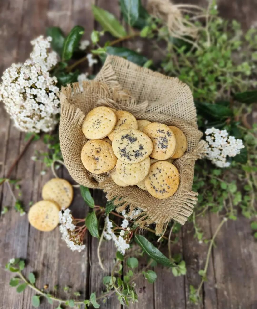 Biscottini al parmigiano